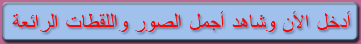ادخل الان وشاهد اجمل الصور واللقطات الرائعة